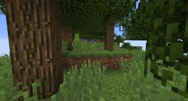 Небесный остров вид внутри