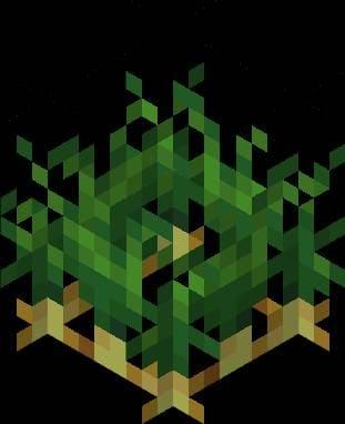 Дикая золотая морковь