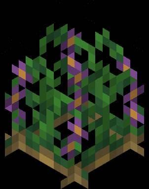 Дикая картошка