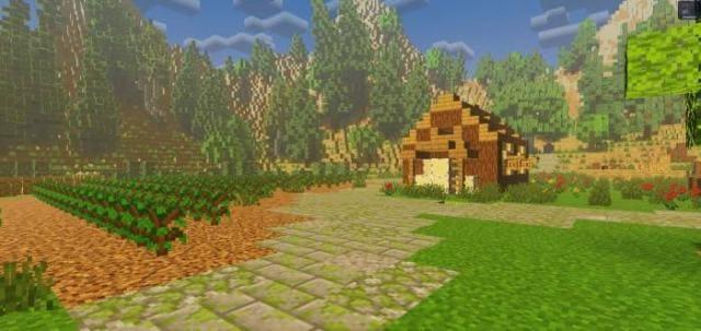 Яркое дневное освещение леса