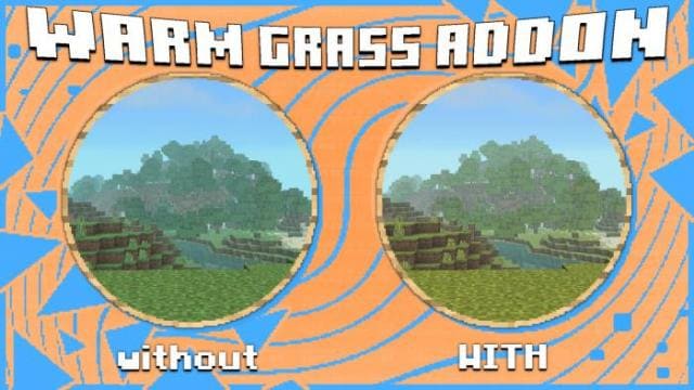 Теплый оттенок травы