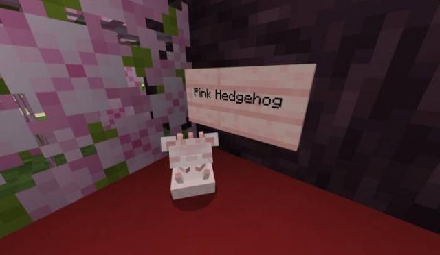 Бело-розовый ежик