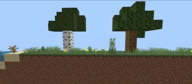 Береза и Дуб