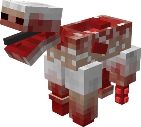 Зараженные овцы