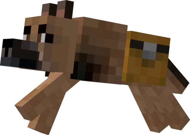 Лучший друг человека