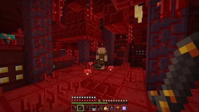 Пиглин в Багровом биоме