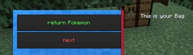 Возвращение покемона