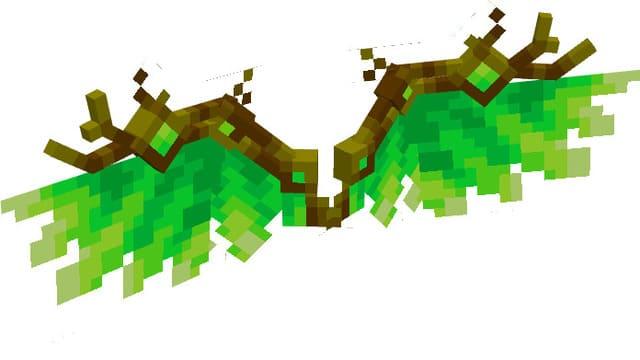 Крылья природы