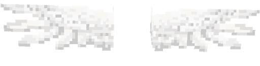 Крылья ангела