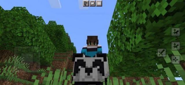 Игрок на панде