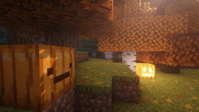 Желтая листва на дереве