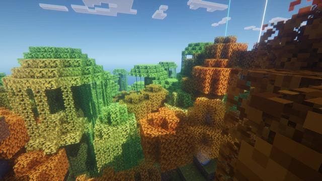 Осенние деревья в лесу