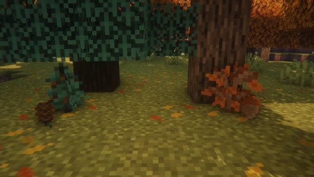 Выпавшие листья на траве