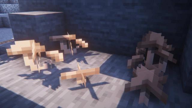 Разные виды грибов