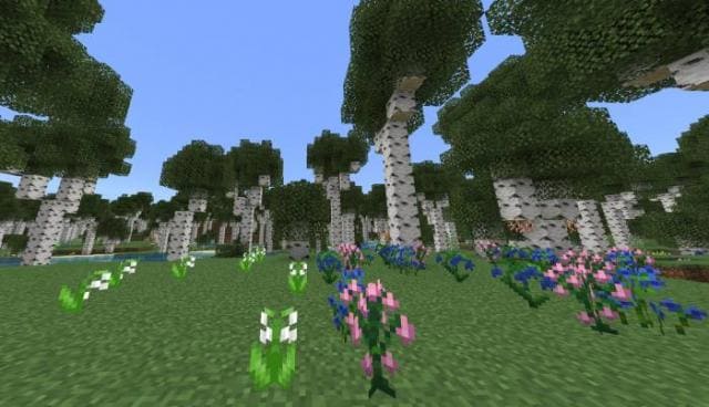 Березовый биом