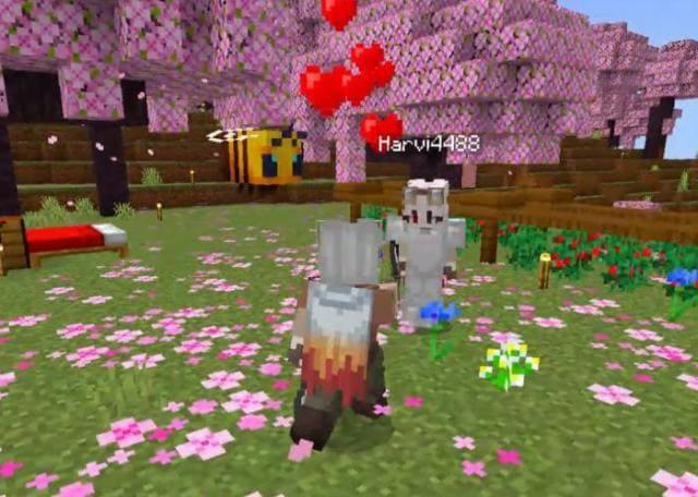 Частицы сердец