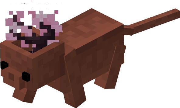 Кот с Горшком с цветами