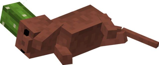 Кот с кактусом