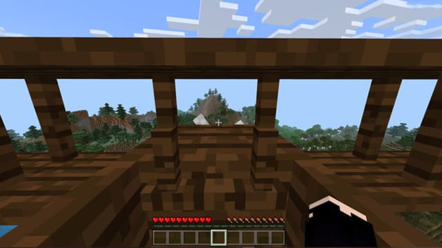 Полет от первого лица