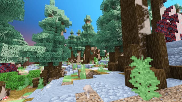 Необычная почва в лесу