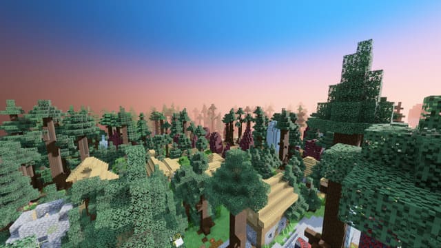 Высокие деревья в лесу