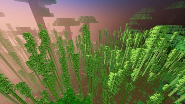 Высокие деревья