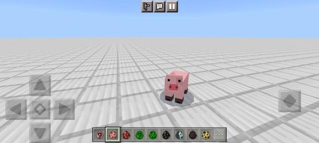 Свинка в плоском мире