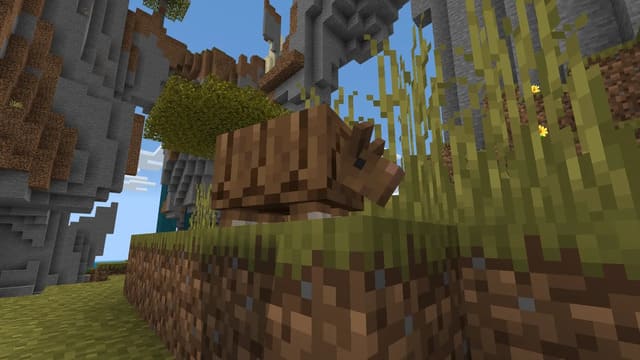 Броненосец на траве