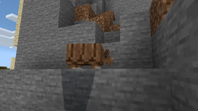 Броненосец на горе