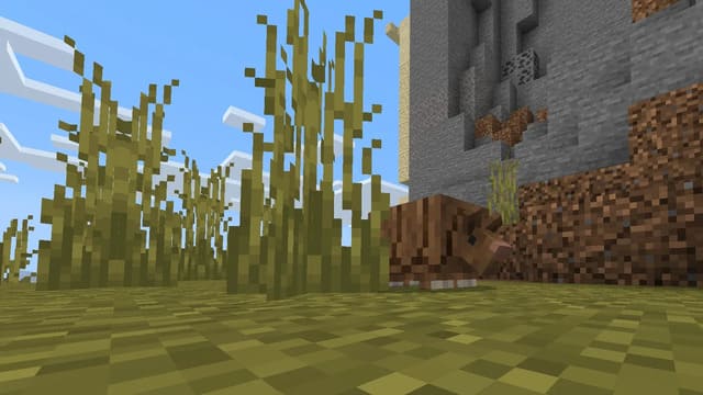 Броненосец в саванне