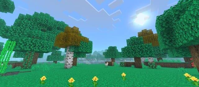 Красивые зеленые тона в лесу