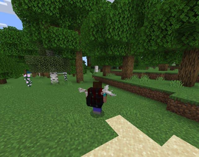 Сумка на спине