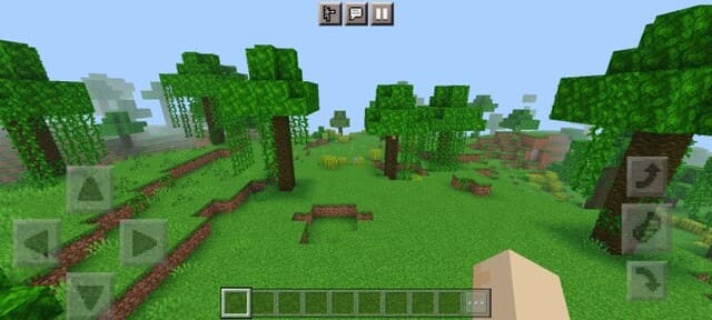 Ярко-зеленый биом Джунглей