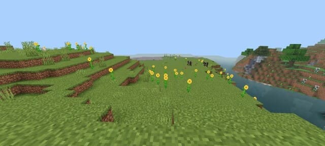 Одуванчики в поле