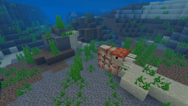 Большой наутилус