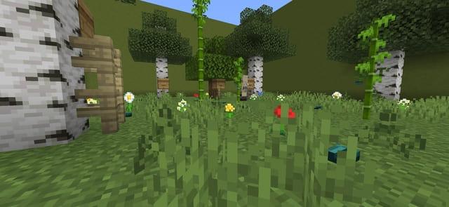 Биом растений