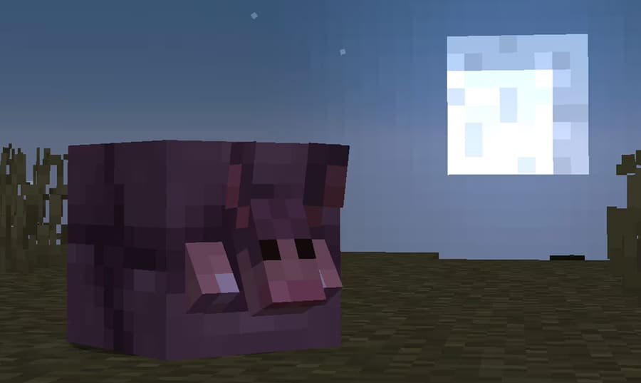 Броненосец