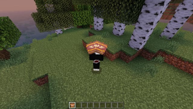 Параглайдер в руке игрока