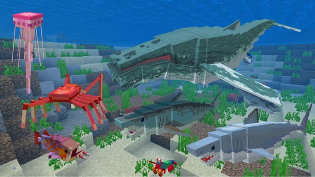 Морские существа в океане