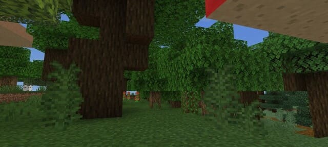 Темное освещение природы