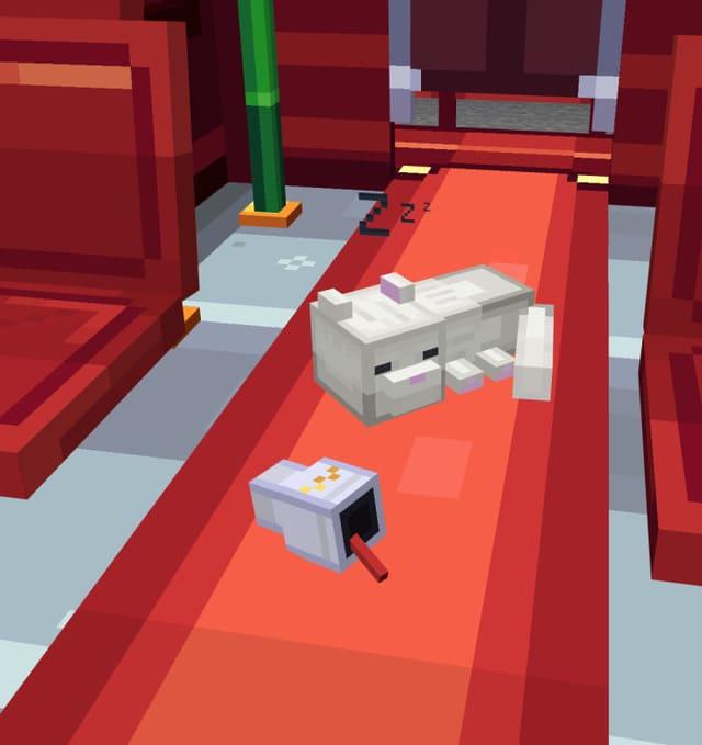 Кот в вагоне