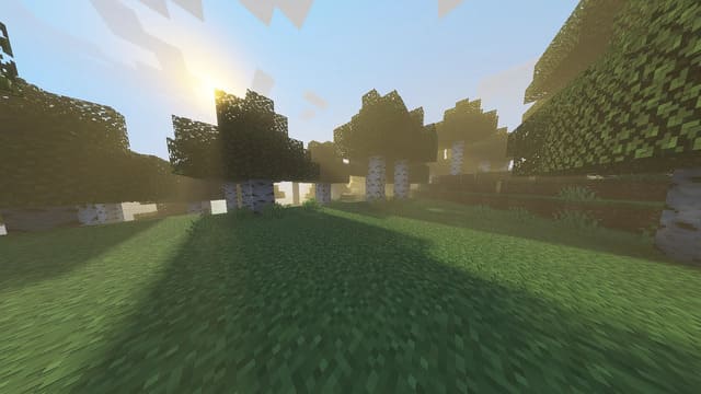 Тени от деревьев