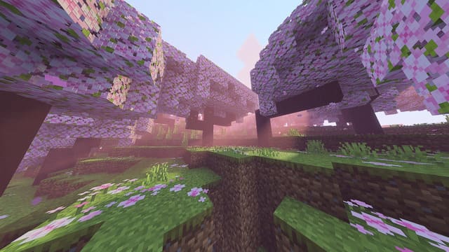 Вишневый лес