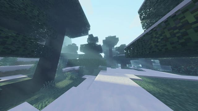 Слой снега в лесу