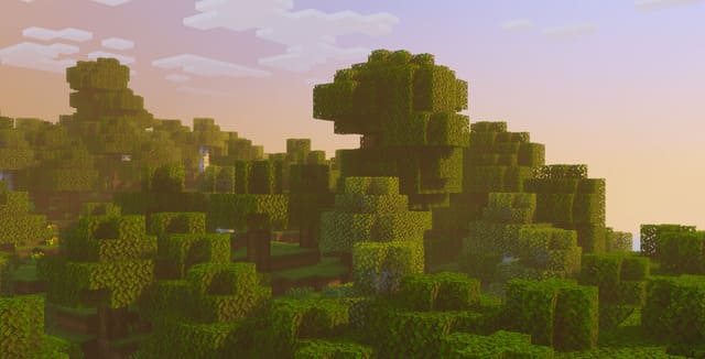 Освещение природы