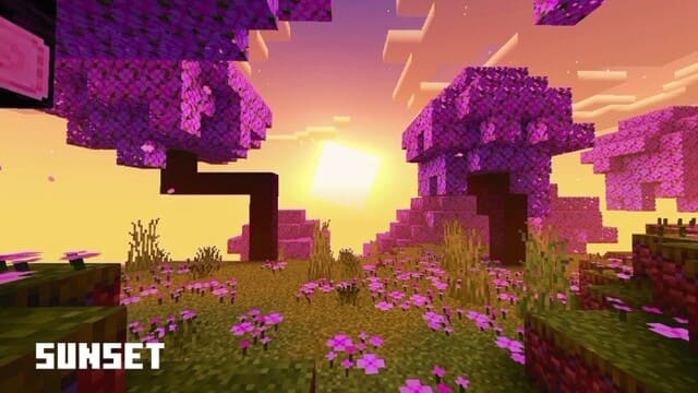 Закат у Вишневого леса