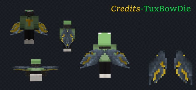 Новый вид Элитр