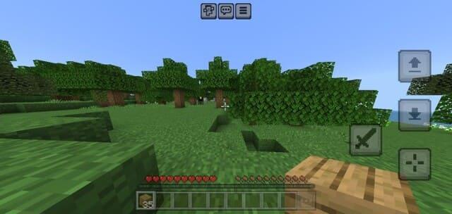 Игрок напротив леса