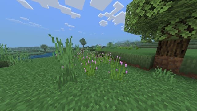 Пурпурные цветы