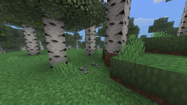 Галька в лесу